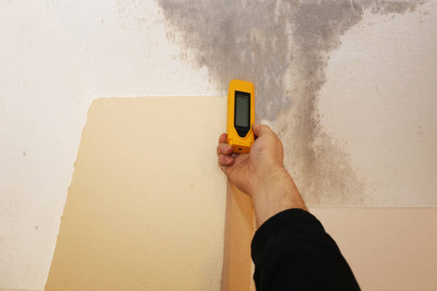 Best Asbestos and Lead Testing During Mold Inspection  in Edgerton, MN