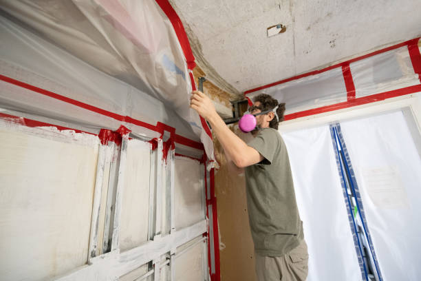 Best Environmental Consulting for Mold Prevention  in Edgerton, MN