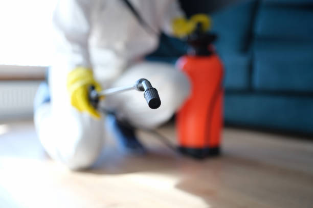 Best Mold Documentation for Insurance Claims  in Edgerton, MN
