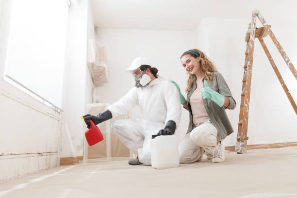 Best Industrial Mold Remediation  in Edgerton, MN